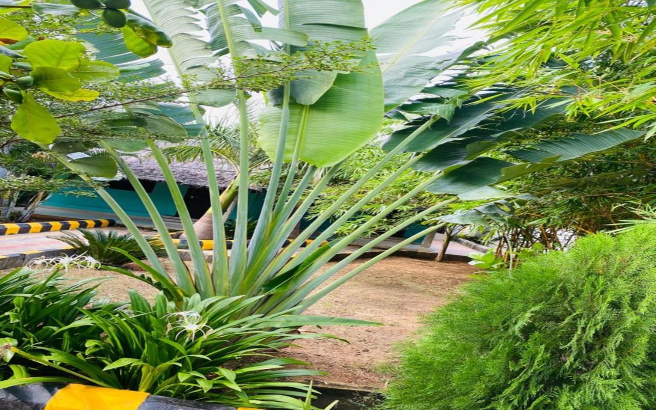 Hotel Megha Resort Hampi Zewnętrze zdjęcie