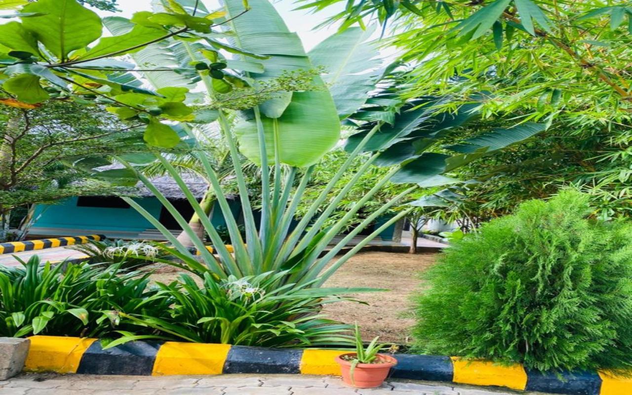 Hotel Megha Resort Hampi Zewnętrze zdjęcie